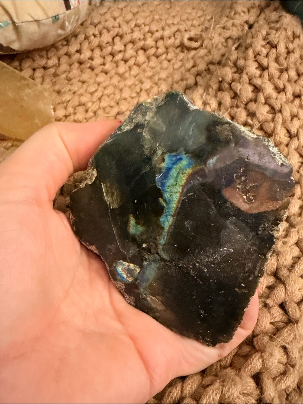 Natural Black Labradorite Slice with Blue-Green Flash - with natural back